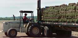 Loading Sod