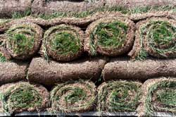 Pallet of Sod