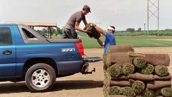 Picking up Lake Elmo Sod Farm's Sod