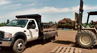 Picking Sod Up