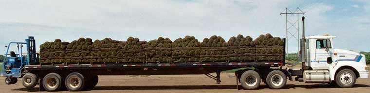 Truck delivering sod